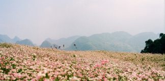 du lịc dong bac