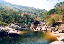 Khám phá vườn quốc gia Yok Đôn khu rừng đặc dụng lớn nhất tại Việt Nam