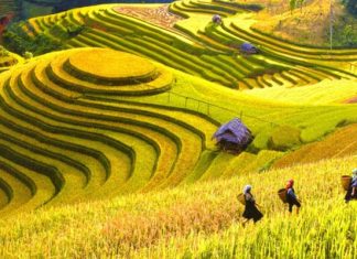 Chia sẻ kinh nghiệm du lịch Hà Giang mùa thu từ A – Z dành cho bạn Chia sẻ kinh nghiệm du lịch Hà Giang mùa thu từ A - Z dành cho bạn